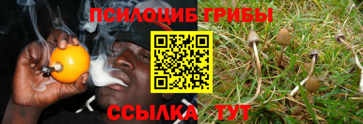 цены   Галлюциногенные грибы Cubensis  Вход с VPN  Куйбышев 
